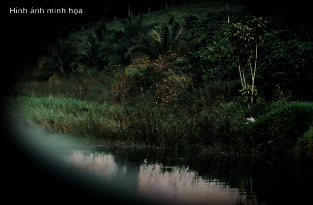 Đêm 27/11/2019, chiếc ô tô chở tổ công tác đặc biệt lặng lẽ xuống núi, rời Lâm Đồng, nhắm thẳng hướng về vùng miền Tây sông nước. Rạng sáng 28/11, tổ công tác tới địa bàn xã Tân Điền, huyện Gò Công Đông, tỉnh Tiền Giang. Sau ít phút hội ý, nhận định tình hình, tổ công tác đã nhanh chóng triển khai lực lượng bao vây, ém quân xung quanh một đìa tôm, nơi được cho là Nguyễn Phước Châu đang làm thuê và ngủ lại qua đêm. (Ảnh: ANTV)