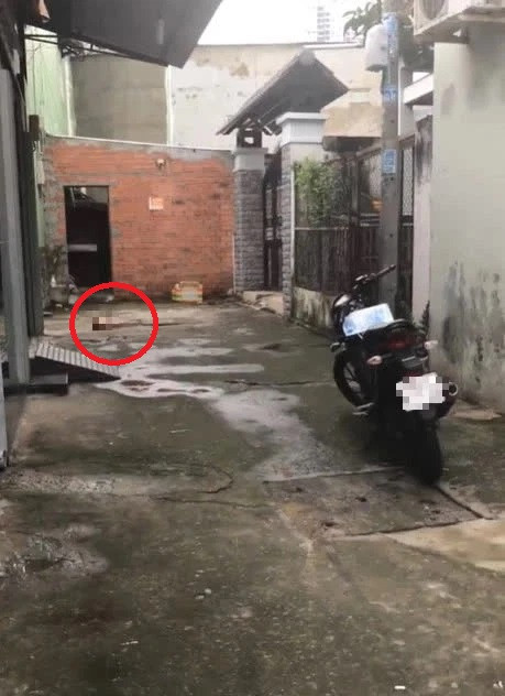 Theo người dân sống tại hẻm 645, Trần Huy chuyển đến địa phương sinh sống cùng mẹ già và vợ con hơn 2 năm qua. Mẹ hắn vừa mới mất do COVID-19. Trước khi xảy ra án mạng, tên này và vợ thường xuyên mâu thuẫn nên người vợ dẫn con rời khỏi địa phương. 