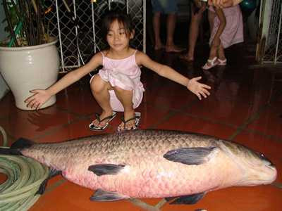 Chuyen gia san thuy quai Ho Tay va lan bat tram den 2,5 ta o Viet Tri