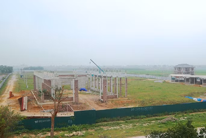 Dự án Trung tâm dạy nghề y tá điều dưỡng quốc tế tại xã Quảng Tân (nay là thị trấn Tân Phong, huyện Quảng Xương) được UBND tỉnh Thanh Hóa chấp thuận chủ trương năm 2014 cho Công ty TNHH Xây dựng dịch vụ thương mại Sơn Thái Thành (nay là Công ty TNHH Tập đoàn Sơn Thái Thành) làm chủ đầu tư, trên khu đất có diện tích 5 ha. 