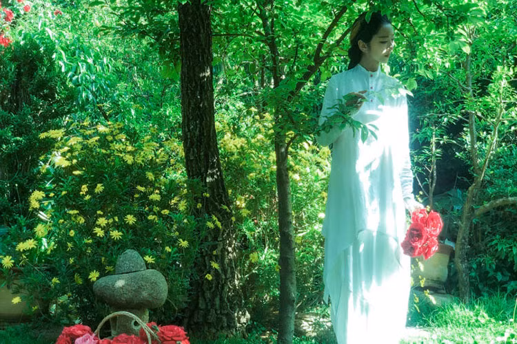 Ở độ tuổi lục tuần, Dương Lệ Bình vẫn giữ vóc dáng thon gọn đáng ngưỡng mộ.