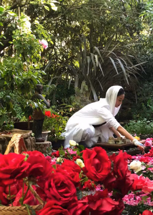 Người đẹp đóng vai Mai Siêu Phong của "Anh hùng xạ điêu" hiện đã bước sang tuổi 60.