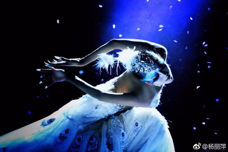 Lệ Bình nổi tiếng nhờ vở múa "Khổng Tước Vũ". Từ vở múa này, cô được mệnh danh "Công chúa Khổng Tước".