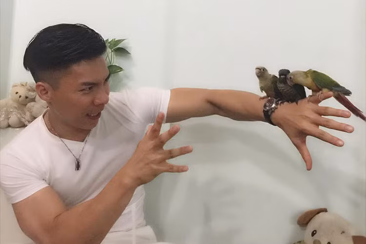 Hình ảnh Quốc Ngiệp diễn sâu làm ảo thuật với ba chú vẹt.