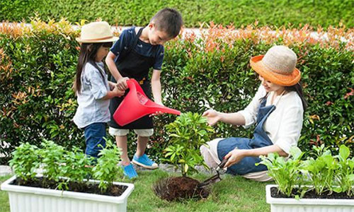 Dau tu cho the he tuong lai bat nguon tu viec chon to am