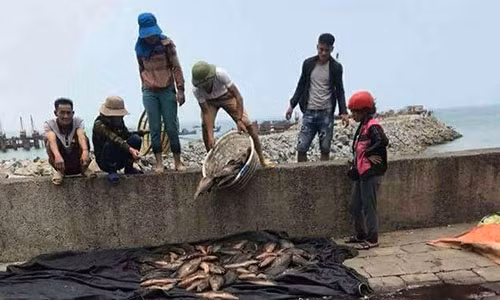 Người dân lo lắng vì cá chết bất thường. Ảnh: Phương Nam