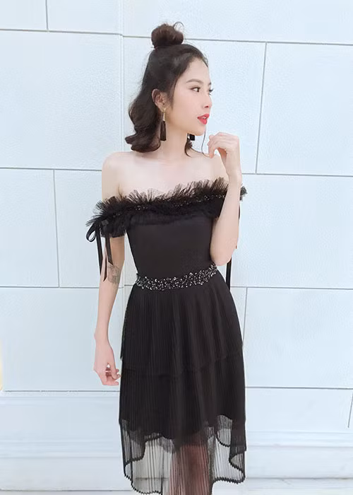 Trước khi đăng quang Người mẫu Thời trang Việt Nam 2018, chị gái của Nam Em tham gia không ít cuộc thi người mẫu, ca hát nhưng không gây được sự chú ý.