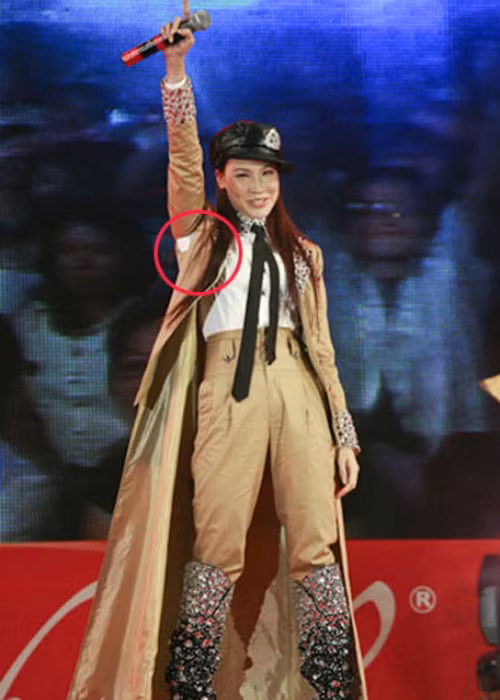 Trang phục của Hồ Quỳnh Hương bị rách phần tay áo khi nữ ca sĩ tham gia diễn biểu tại một sự kiện. Ảnh: Zing