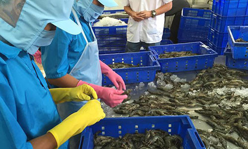 Có một số ngành hàng phát triển xuất khẩu rất nhanh, nhưng có một số ngành hàng còn lúng túng, lúc trồi lúc sụt.