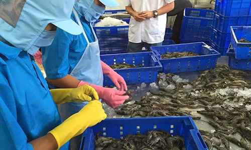 Có một số ngành hàng phát triển xuất khẩu rất nhanh, nhưng có một số ngành hàng còn lúng túng, lúc trồi lúc sụt.