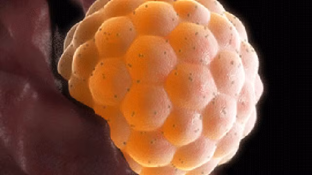 Thai trung nguy hiem nhu the nao, ai de mac?