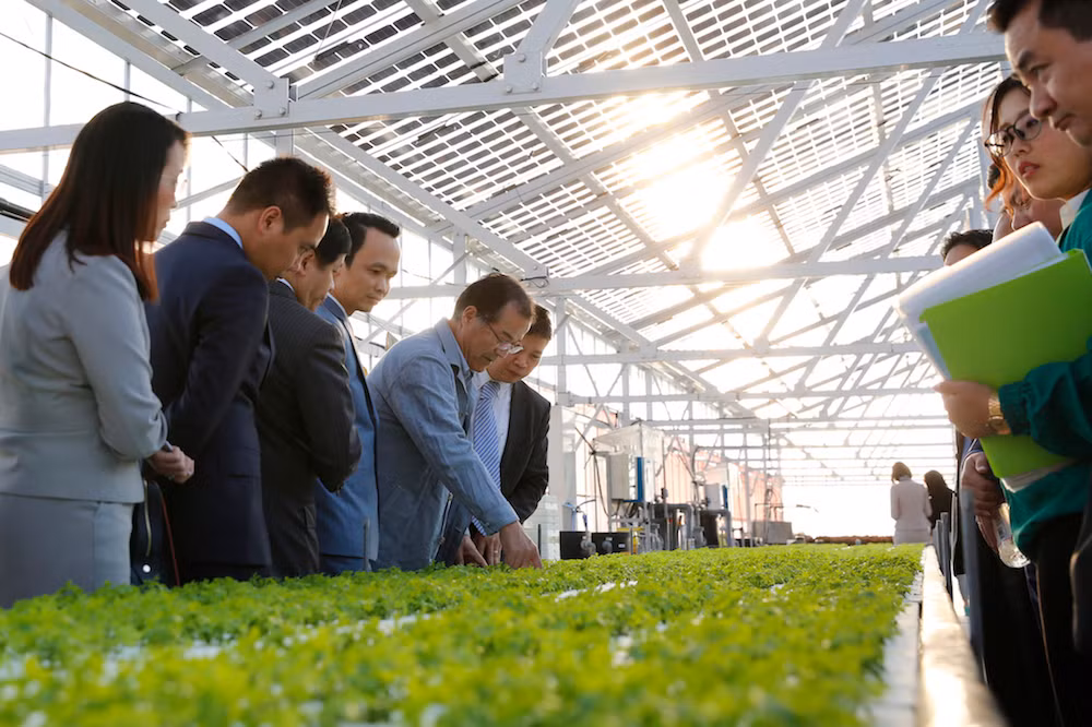 Mô hình trang trại nông nghiệp công nghệ cao của Farmdo.