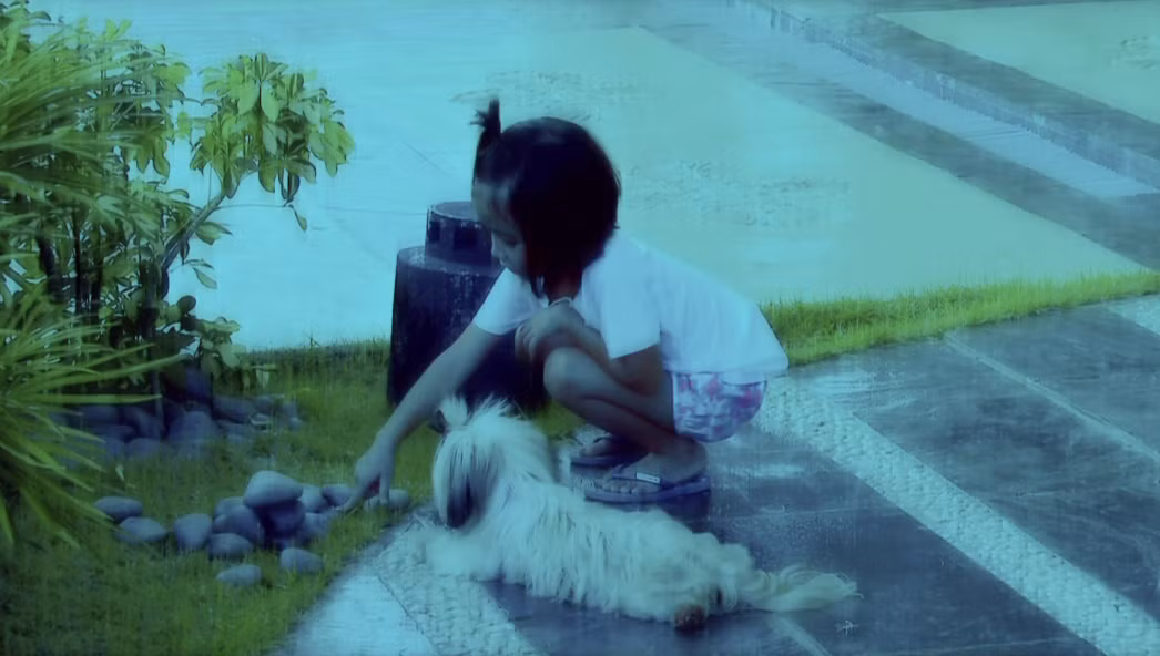 Trò chơi tập đếm bằng đá cuội của Ana hồi nhỏ.