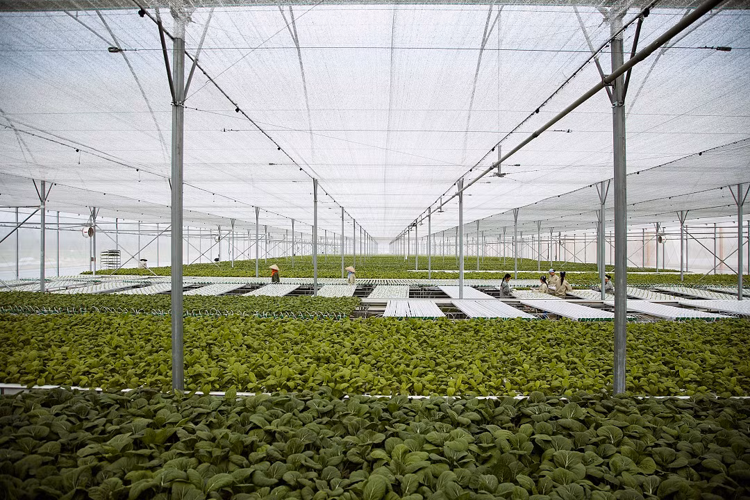 2 nam “Hanh trinh sach - Tuong lai xanh” cua VinEco