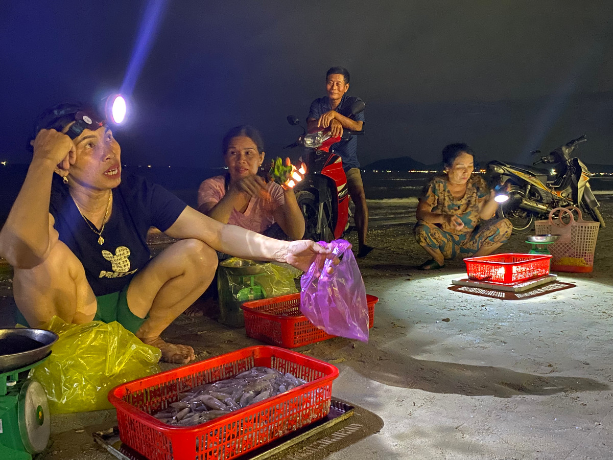 Theo ông Nguyễn Hữu Thuyết (thôn Tam Hải 1, xã Kỳ Ninh), dù có hơn 20 năm làm nghề câu mực, nhưng chưa năm nào ông và ngư dân nơi đây lại được mùa mực nháy nhiều như năm nay. Bình quân mỗi thuyền đều đem về từ 10 đến 20 kg mực, cho thu nhập vài triệu đồng trong ngày. Cũng theo ông Thuyết, năm nay thời tiết thuận lợi, mực được mùa, cùng với việc khu quảng trường biển Kỳ Ninh hoàn thành nên du khách về đây đông, mực dễ bán hơn, nên ngư dân ai cũng vui mừng. 