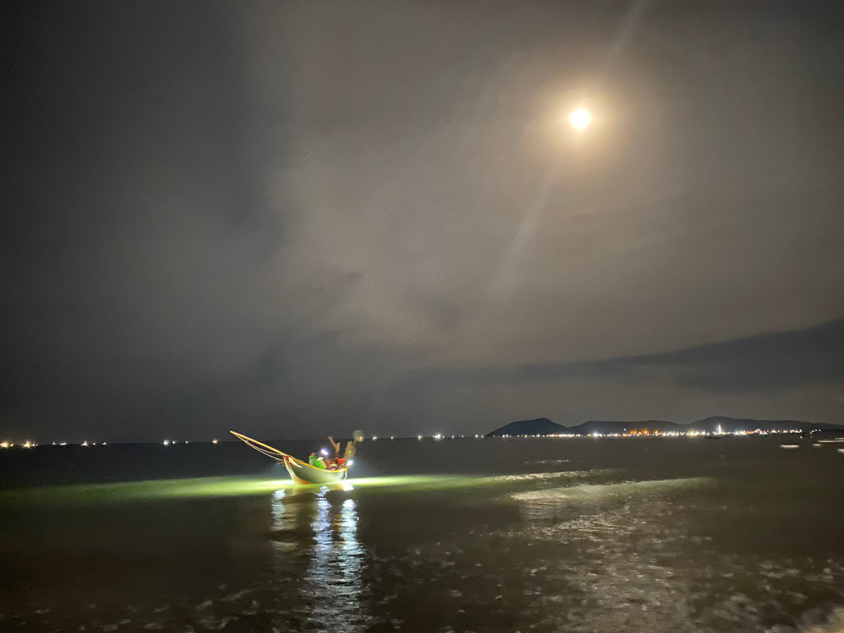 Khi đêm dần về khuya, những chiếc thuyền câu mực của ngư dân xã Kỳ Ninh, Thị xã Kỳ Anh (Hà Tĩnh) cập bờ với những rổ mực nháy tươi roi rói. Mực về với số lượng nhiều, tươi ngon, giá cả hợp lý đã thu hút đông đảo người dân xuyên đêm về đây đợi thu mua, thưởng thức mực ngay tại bờ biển.