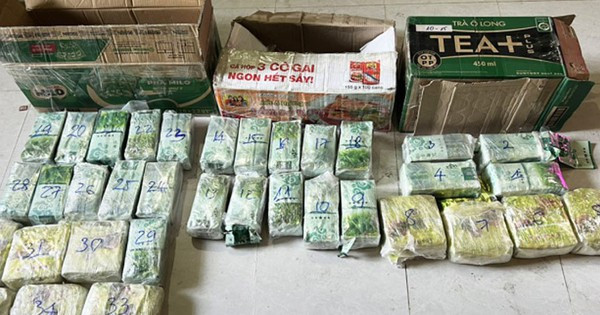 Tổ công tác thu giữ 166,231g ma túy tổng hợp các loại, 1 cân điện tử cùng một số dụng cụ dùng để sử dụng trái phép chất ma tuý. Tại một “kho” của nhóm Hương “mẩu” ở Đức Giang, cảnh sát phát hiện thu giữ 29,743g ma túy tổng hợp. Tổng vật chứng thu giữ của băng ổ nhóm này lên tới gần 59 kg ma tuý tổng hợp cùng nhiều dụng cụ dùng để sử dụng trái phép chất ma túy và các tài liệu đồ vật có liên quan. (Ảnh minh họa, nguồn internet) 