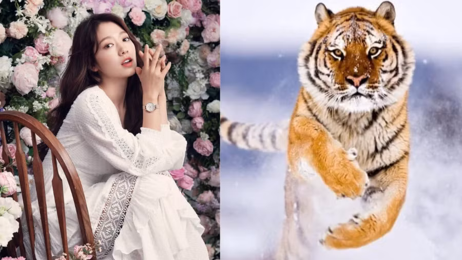 Tuổi Dần: Người tuổi Dần bẩm sinh mạnh mẽ, có tầm nhìn xa trông rộng đúng chuẩn một chúa sơn lâm rừng xanh. Con giáp tuổi này không ngại thay đổi, thích thử thách bản thân với những công việc khác nhau.