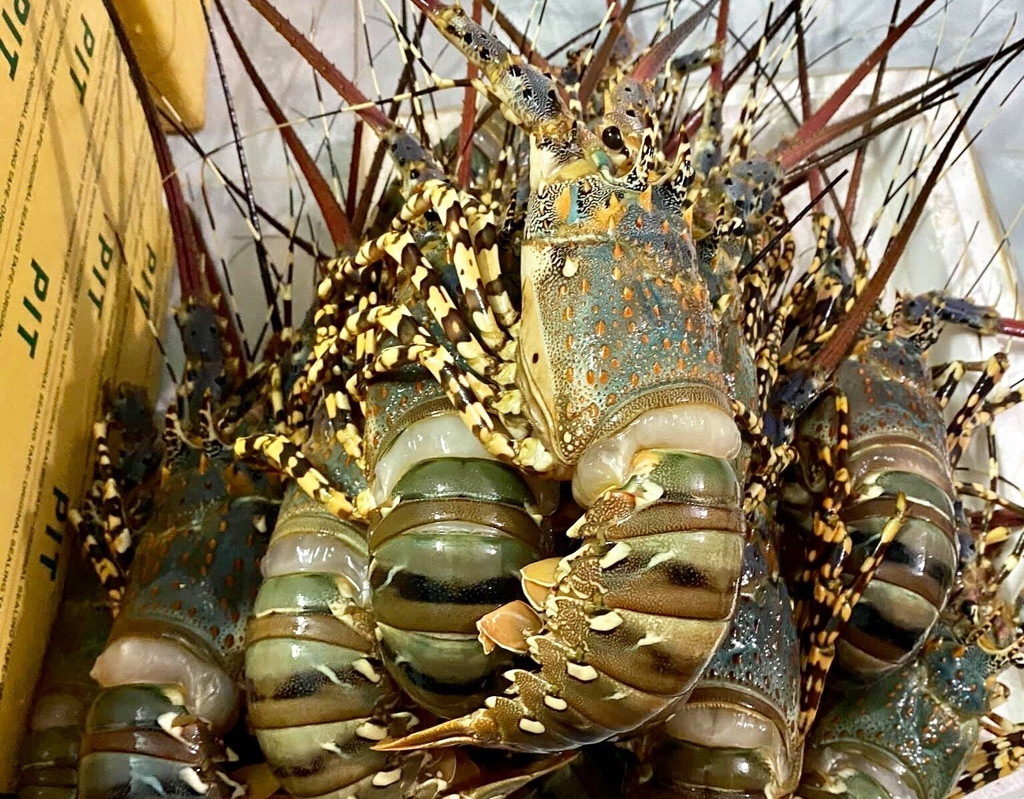 Thit ga re hon rau, bap cai vut thoi day dong-Hinh-4