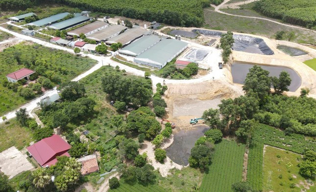 Gây ô nhiễm môi trường, một trại lợn bị phạt gần 300 triệu đồng - Hình 2 Gay o nhiem moi truong, mot trai lon bi phat gan 300 trieu dong-Hinh-2