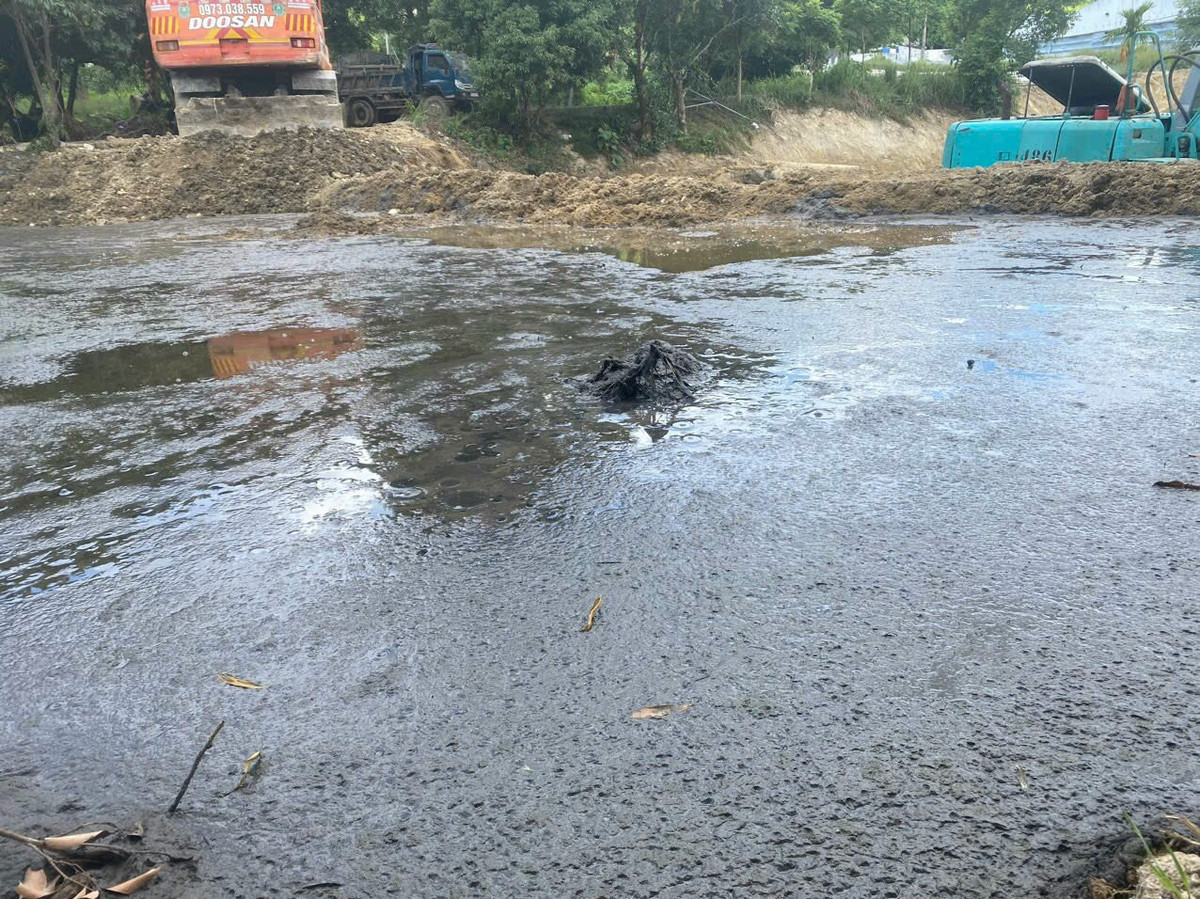 Gây ô nhiễm môi trường, một trại lợn bị phạt gần 300 triệu đồng Gay o nhiem moi truong, mot trai lon bi phat gan 300 trieu dong