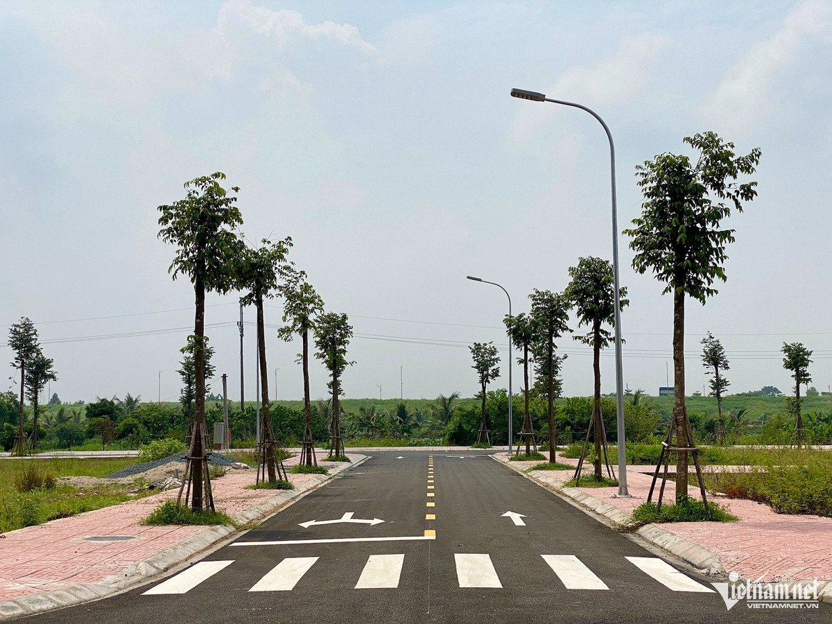 2 lô đất có giá trúng đấu giá cao thứ 2 lần lượt là lô LK03-6 và LK04-6 giá 127,3 triệu đồng/m2.