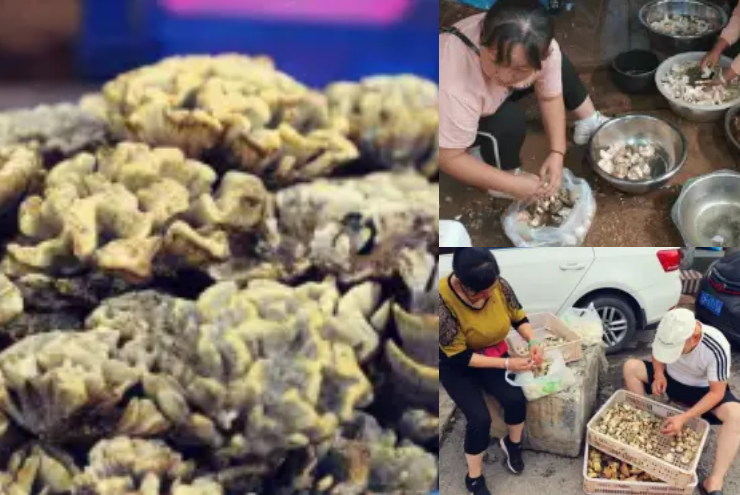 Kiem hang chuc trieu/thang nho rua thu o Viet Nam co day