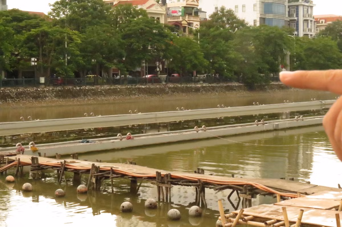 Được thiết kế xây dựng trên diện tích gần 48 nghìn m2 trên hồ Tam Bạc, công trình nhạc nước 200 tỷ tại Hải Phòng gồm các vòi phun nước được đặt trên bể thép nổi với chiều dài 112m, rộng 14m, kết hợp với ánh sáng từ hệ thống đèn LED và hệ thống âm thanh gồm 6 loa âm trầm được đặt dưới chân kè, 14 loa trung gắn trên các cột đèn. Cả hệ thống được điều khiển từ một phòng nhỏ được đặt trên bờ hồ, phía đường Quang Trung.