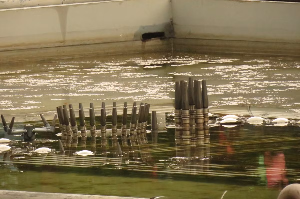 Tuy nhiên, trong mắt nhiều người dân, công trình nhạc nước mà ông Dương Anh Điền cho là rất cần thiết chỉ là công trình lãng phí, nhếch nhác như cái lồng cá giữa hồ Tam Bạc.