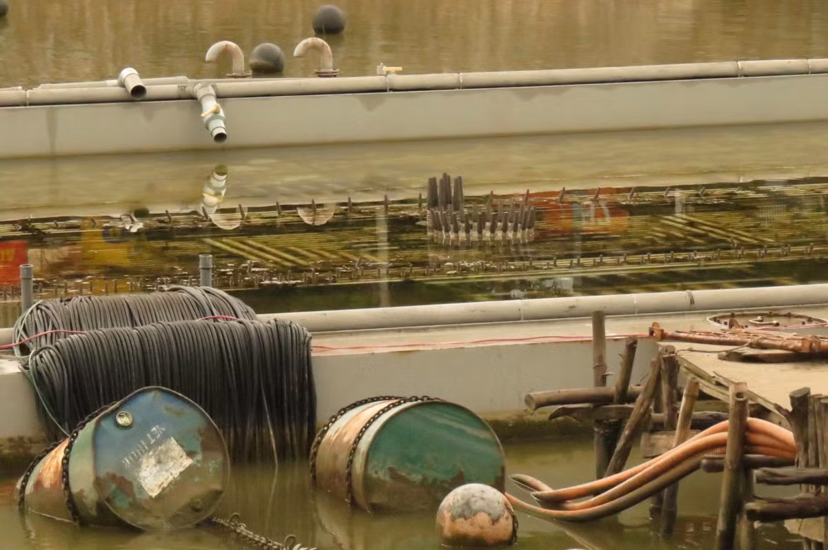 Ngay trong kỳ họp HĐND TP Hải Phòng ngày 15/7/2015, trả lời cử tri, ông Đoàn Duy Linh, Giám đốc Sở Văn hoá, thể thao và du lịch Hải Phòng đã giải trình về dự án xây dựng công trình nhạc nước trên hồ Tam Bạc . Bản thân GĐ Sở VHTTDL Hải Phòng khẳng định không có khuất tất trong quá trình triển khai dự án này. Ngay máy móc thiết bị cũng nhập từ Mỹ có chứng thư của Vinacontrol giám định nguồn gốc xuất xứ của máy móc, chứ không phải nhập từ Trung Quốc.