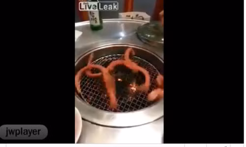 Ron nguoi mon BBQ nuong nhu trong phim kinh di