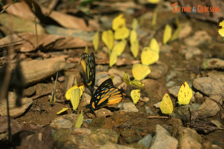 Hành trình không dài nhưng khá "mệt" và tốn nhiều thời gian cho các chặng dừng. Điều thu hoạch được là những khoảnh khắc hòa mình vào thiên nhiên...