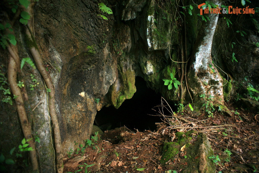 Sau 6 tiếng rưỡi (từ 8h đến 14h30) cho quãng đường vỏn vẹn chục cây số, cửa hang Mường Tỉnh - đích đến của chuyến đi - đã lộ diện. Hành trình xin được khép lại ở đây.