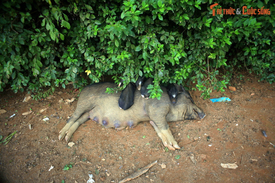 Khi sắp đến nơi cần phải đến, chợt có cảm giác tiếc nuối vì hành trình tuyệt vời này đã đến hồi kết thúc.