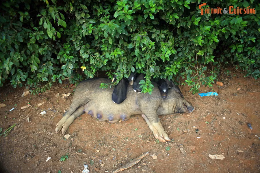 Khi sắp đến nơi cần phải đến, chợt có cảm giác tiếc nuối vì hành trình tuyệt vời này đã đến hồi kết thúc.