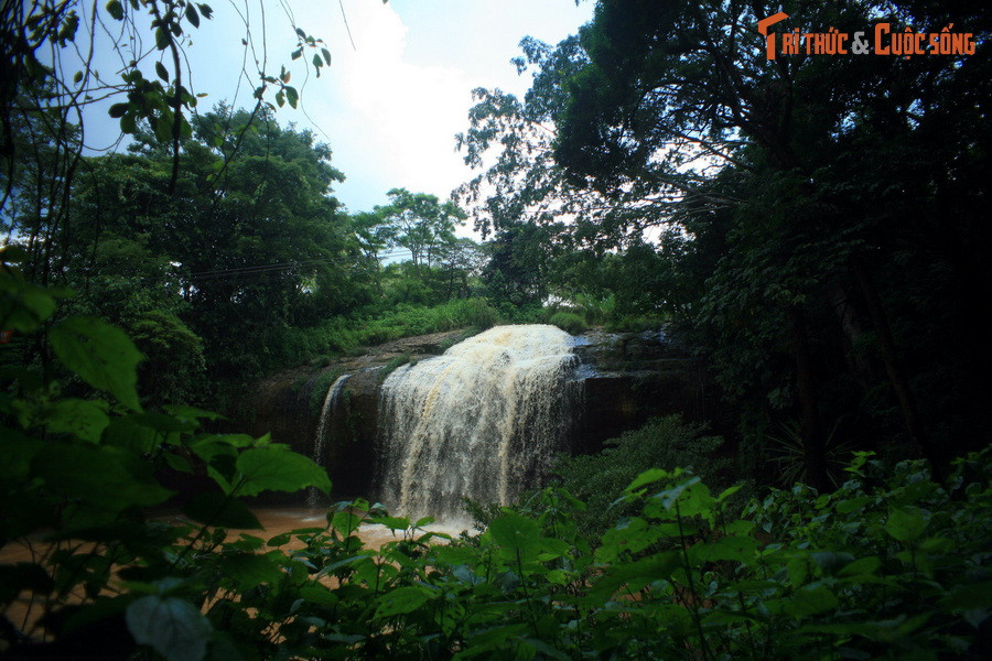 Nằm cạnh quốc lộ 20, cách trung tâm Đà Lạt khoảng 12 km, thác Prenn là một trong những thắng cảnh nổi tiếng nhất của thành phố trên cao nguyên Lang Biang.