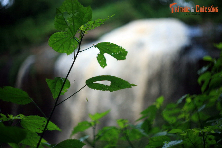 Ngày nay, thác Prenn và khu vực phụ cận đã được quy hoạch thành khu du lịch có quy mô tầm cỡ của Đà Lạt. Ngoài việc tham quan thác, du khách còn có thể tham gia nhiều hoạt động như bơi thuyền, bắn cung, cưỡi đà điểu, khám phá hệ thống đền thờ gồm đền Thượng, đền Trung và đền Hạ...