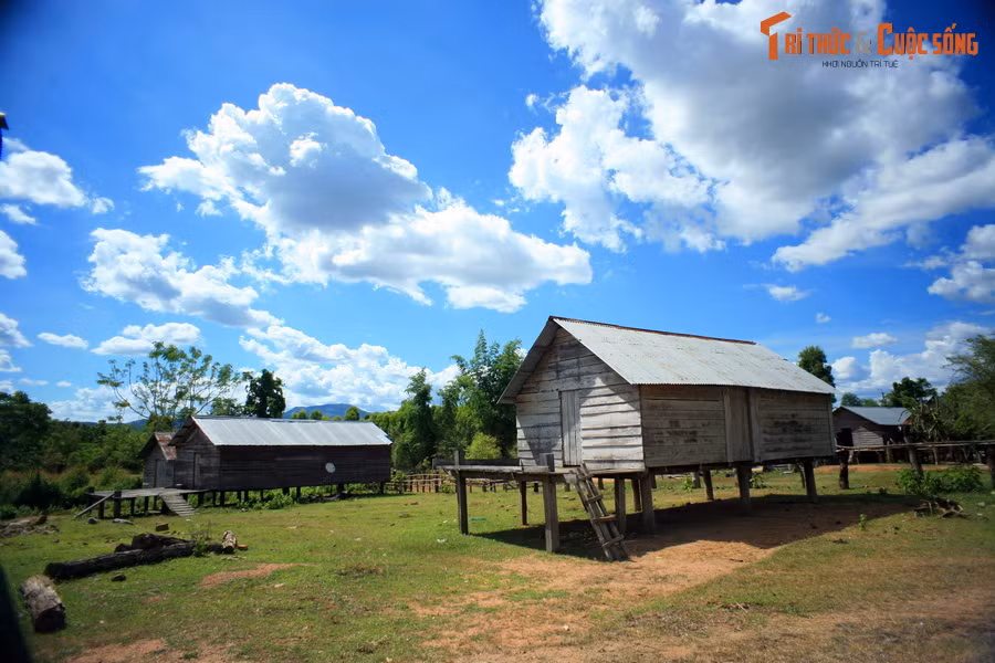 Xung quanh đó là nhiều ngôi nhà sàn mộc mạc với kiến trúc đơn giản và quy mô nhỏ.