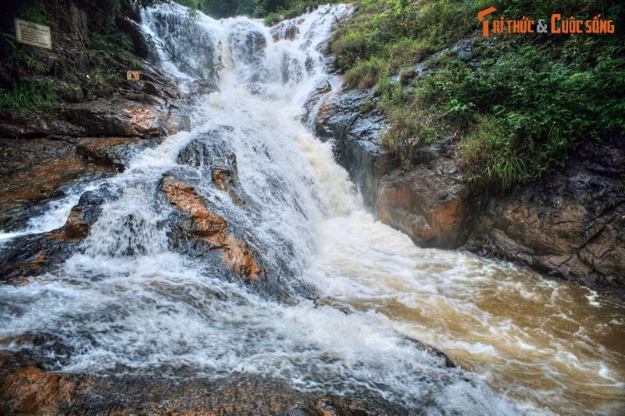Do chảy qua nhiều thềm đá có độ dốc thoai thoải, thác Datanla không quá ồn ào nhưng vẫn đầy vẻ quyến rũ. Thác luôn có lượng nước dồi dào do thượng nguồn là nguồn nước ổn định. Xung quanh thác là rừng nguyên sinh với thảm thực vật phong phú.