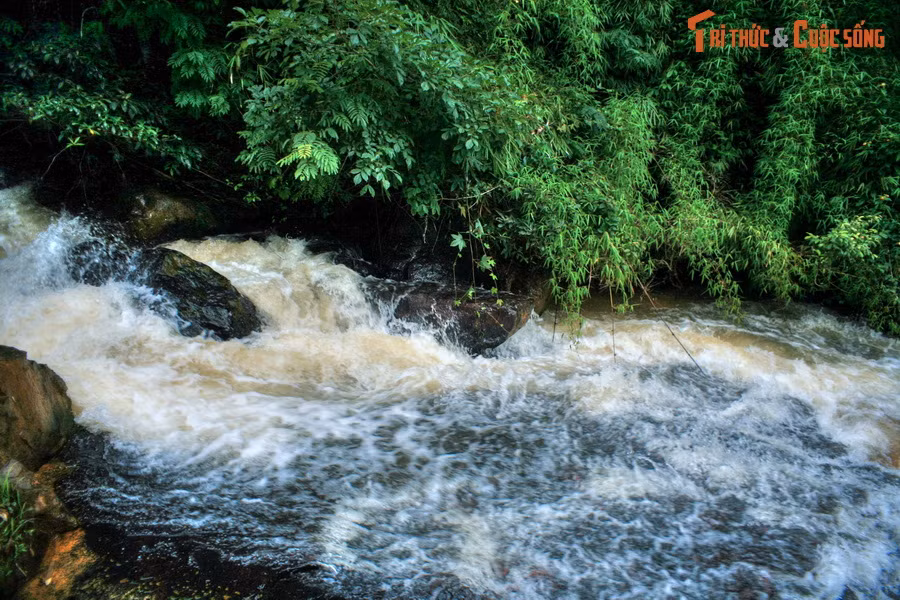 Tên gọi "Datanla" của thác có nguồn gốc từ ngôn ngữ của đồng bào dân tộc K'Ho: "Đạh-Tam-N'ha", nghĩa là "dưới lá có nước". Xung quanh tên gọi này, có hai truyền thuyết được người dân địa phương lưu truyền hàng trăm năm qua.