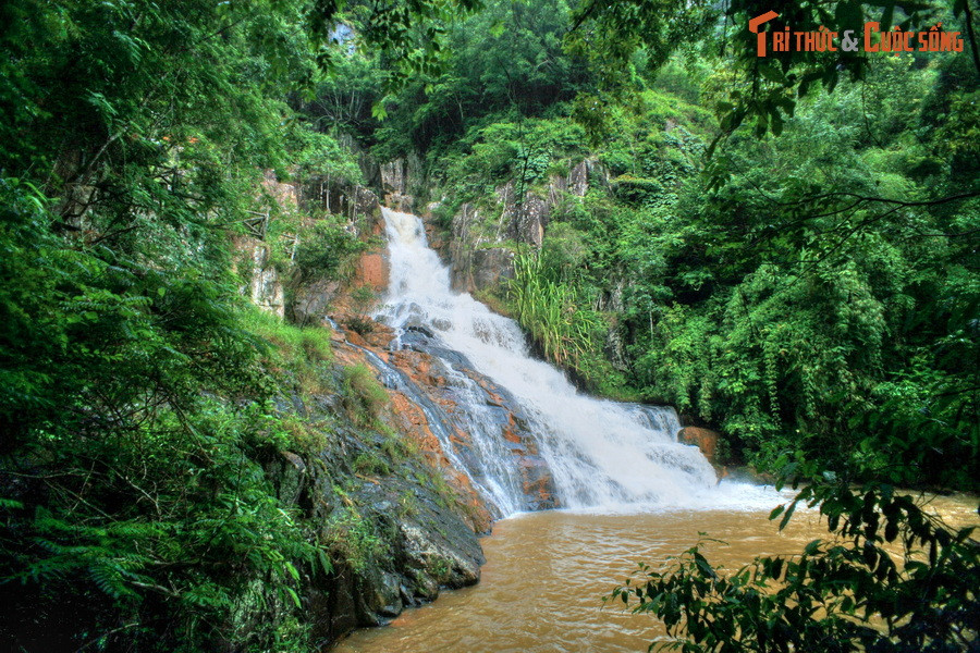 Cuộc giao tranh diễn ra vô cùng ác liệt làm gió nổi lên dữ dội, cây đổ ào ào. Lợi dụng lúc hai con rắn lè lưỡi, Lang rút dao đi rừng chặt đứt bay hai lưỡi của rắn rồi lấy 9 mũi cung tên bắn vào bầy chó sói và cáo làm chúng bỏ chạy tán loạn...