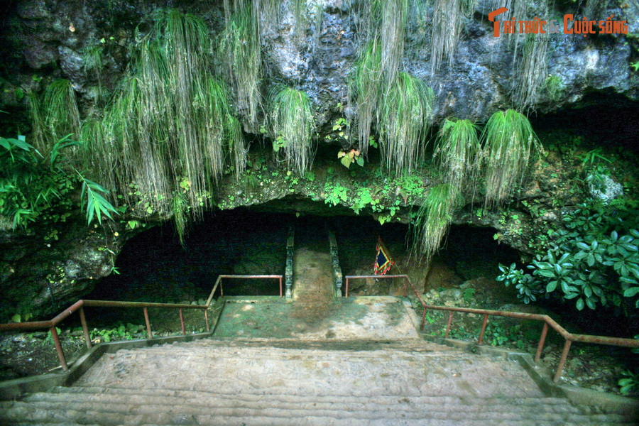 Thuộc địa phận xã Bình Lư, huyện Tam Đường, tỉnh Lai Châu, động Tiên Sơn được phát hiện vào năm 1979. Năm 1992, hang động này được công nhận là Di tích thắng cảnh cấp quốc gia và đến năm 2008 thì được quy hoạch thành khu du lịch.
