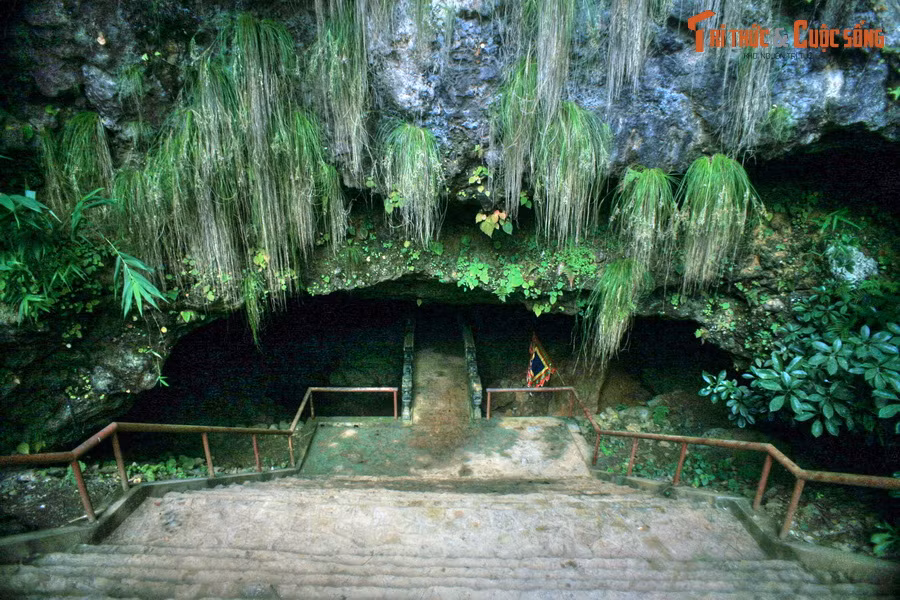 Thuộc địa phận xã Bình Lư, huyện Tam Đường, tỉnh Lai Châu, động Tiên Sơn được phát hiện vào năm 1979. Năm 1992, hang động này được công nhận là Di tích thắng cảnh cấp quốc gia và đến năm 2008 thì được quy hoạch thành khu du lịch.
