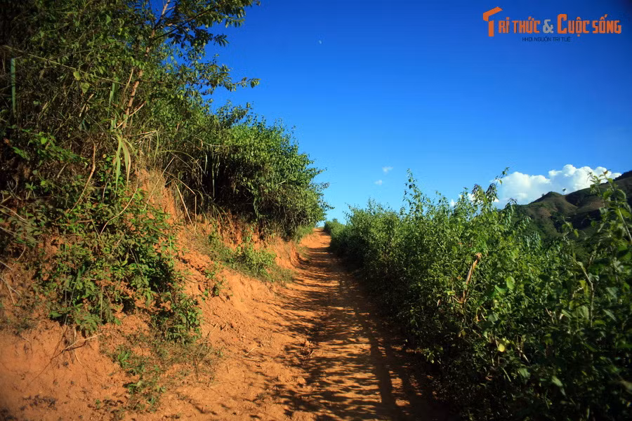 Đi hết bản, con đường dẫn lên một đỉnh đồi.