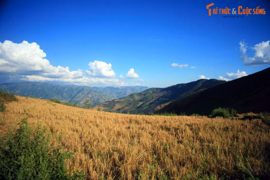 Cảnh đẹp đến lặng người.