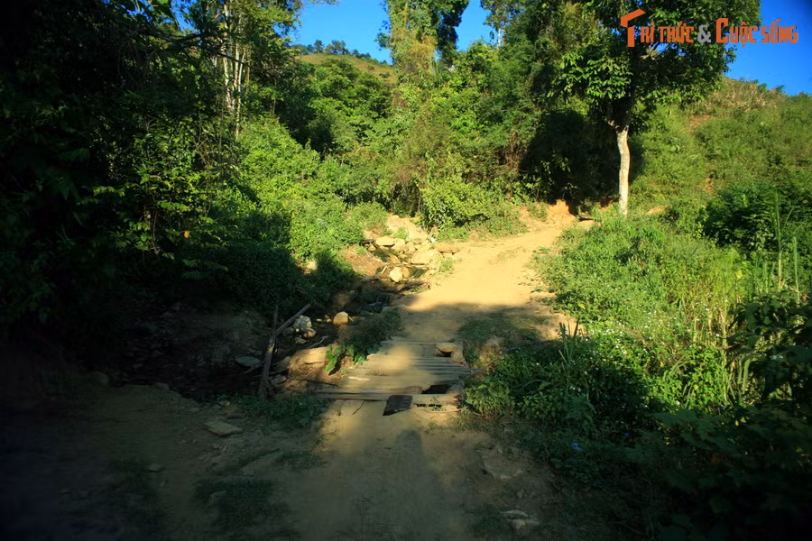 Cây cầu gỗ thô sơ bắc qua một khe suối.