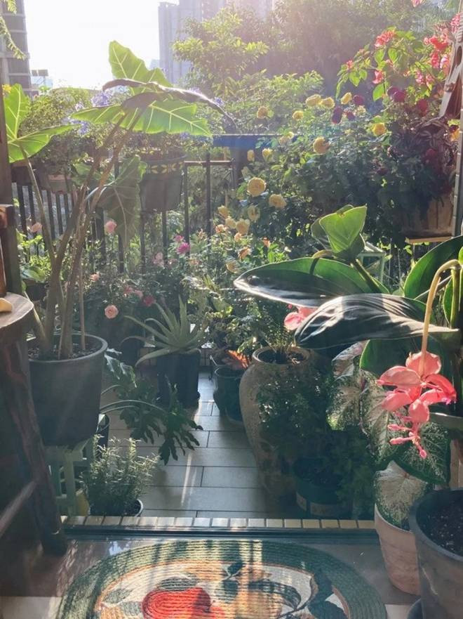 Bien ban cong 12m2 thanh “xu so than tien” noi hoa khoe sac-Hinh-8