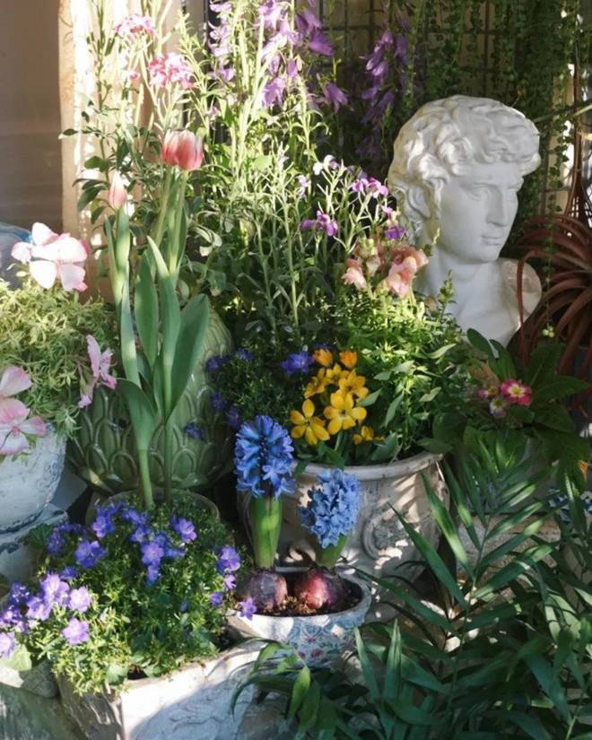 Bien ban cong 12m2 thanh “xu so than tien” noi hoa khoe sac-Hinh-5