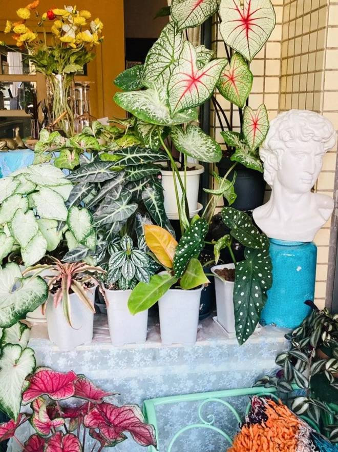 Bien ban cong 12m2 thanh “xu so than tien” noi hoa khoe sac-Hinh-7