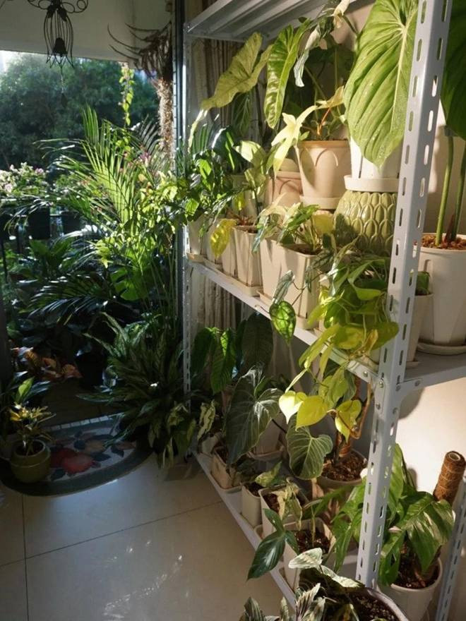 Bien ban cong 12m2 thanh “xu so than tien” noi hoa khoe sac-Hinh-9